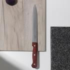 Нож кухонный универсальный, лезвие 20 см - Фото 1