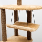 Комплекс для кошек с когтеточкой, угловой, с гамаком, 48×48×171 см, джут, искусственный мех, беж - Фото 7