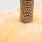 Комплекс для кошек с когтеточкой, угловой, с гамаком, 48×48×171 см, джут, искусственный мех, беж - Фото 8