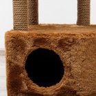 Комплекс для кошек с когтеточкой, угловой, 48×48×171 см, коричневый - Фото 9