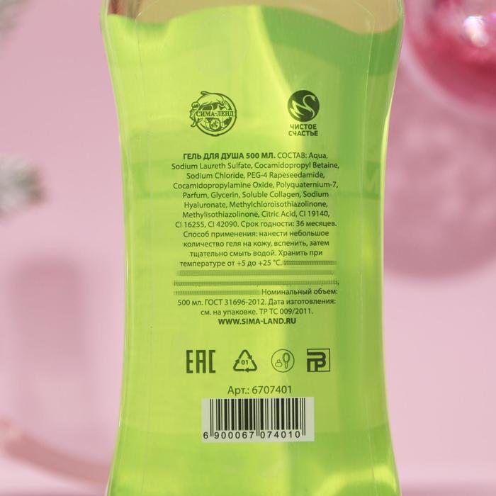 Гель для душа "Мечтай" 500 мл, аромат цитруса 22489