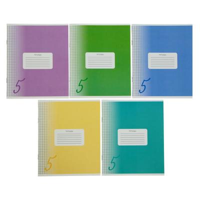 Тетрадь 24 листа в клетку, Calligrata «Пятёрка», обложка мелованный картон, МИКС