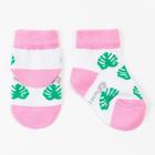 Набор носков Крошка Я «Единорог», 2 пары, 12-14 см - фото 23773131