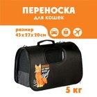 Сумка - переноска раскладная, каркасная Danger 43x20x27 см - фото 9253083