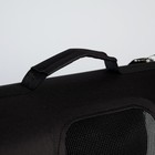 Сумка-переноска раскладная, каркасная «Бро не багаж» 52x22x29 см - фото 6416620