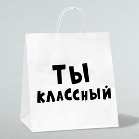Пакет подарочный «Ты классный», 31×19.5×34 см