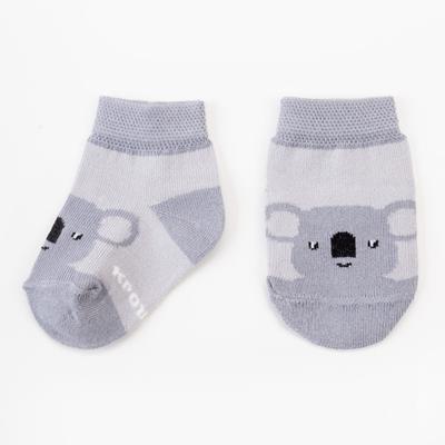Носки детские Крошка Я «Коала», набор 2 пары, 10-12