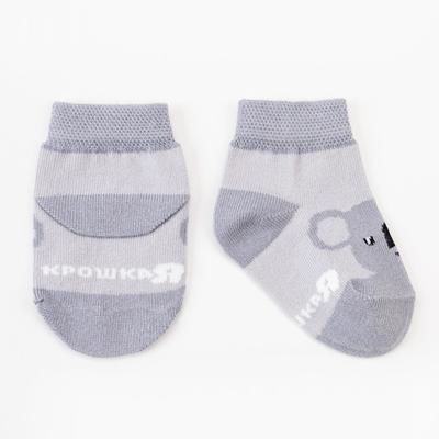 Носки детские Крошка Я «Коала», набор 2 пары, 10-12