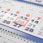 Календарь квартальный, трио "Символ года - 12" 2022 год, 31 х 69 см - Фото 3