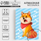 Алмазная мозаика с частичным заполнением для детей «Пушистая собачка», 20×25 см - Фото 1