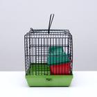 Клетка-мини для грызунов "Пижон" №2, укомплектованная, 27х15х16 см, зеленый микс - Фото 3