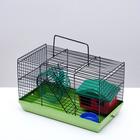 Клетка-мини для грызунов "Пижон" №2, укомплектованная, 27х15х16 см, зеленый микс - Фото 4