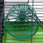 Клетка-мини для грызунов "Пижон" №2, укомплектованная, 27х15х16 см, зеленый микс - Фото 5