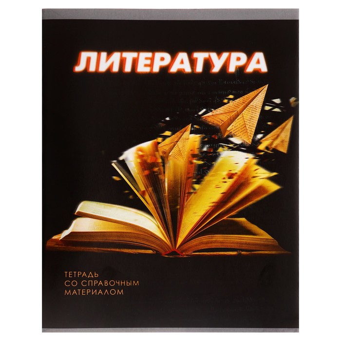 Тетрадь предметная 3D, 48 листов в линейку "Литература", обложка мелованный картон, блок № 2, белизна 75% (серые листы) - Фото 1
