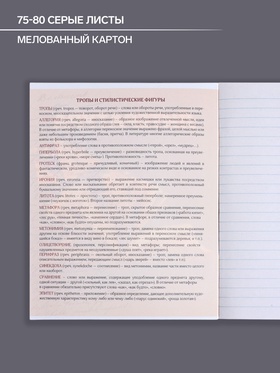 Тетрадь предметная 48 листов в линейку Calligrata "3D. Литература", серые листы (комплект 10 шт)