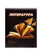 Предметная тетрадь по литературе Calligrata. 3D, 48 листов, в линейку, со справочным материалом, обложка из мелованного картона - Фото 3