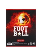 Предметная тетрадь по английскому языку Calligrata «Футбол», 48 листов, в клетку, со справочным материалом, обложка из мелованного картона (комплект 5 шт) - фото 65322915