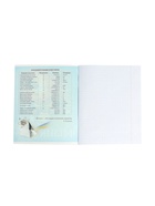 Предметная тетрадь по геометрии Calligrata «Футбол», 48 листов, в клетку, со справочным материалом, обложка из мелованного картона (комплект 10 шт) - фото 65322922