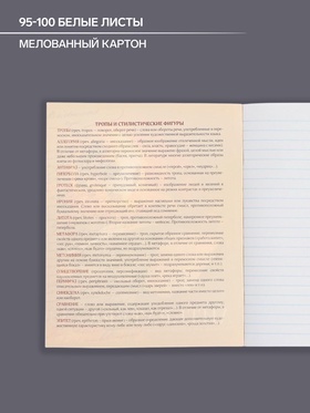 Тетрадь предметная 48 листов в линейку Calligrata, «Футбол. Литература», обложка мелованный картон