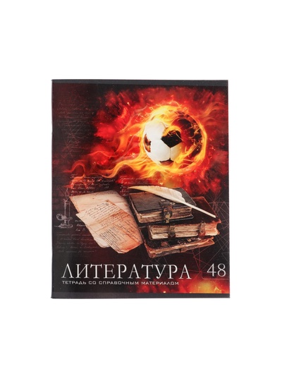 Предметная тетрадь по литературе Calligrata «Футбол», 48 листов, в линейку, со справочным материалом, обложка из мелованного картона