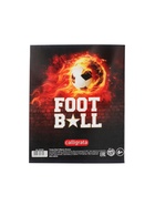 Предметная тетрадь по литературе Calligrata «Футбол», 48 листов, в линейку, со справочным материалом, обложка из мелованного картона (комплект 10 шт) - фото 65322936