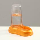 Автопоилка/автокормушка 0,6 л, золотой перламутр - Фото 4