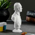 Бюст «Суворов», фигурка гипс, 13×10×5 см - Фото 4