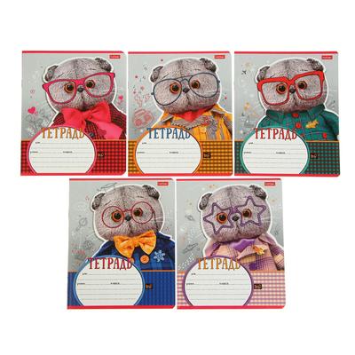 Тетрадь 12 листов, в клетку, "Кот Басик", обложка мелованный картон, блок офсет, МИКС