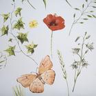 Штора "Этель" Легкость, 145*260 см, 100% п/э 5525192