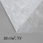 Материал укрывной, 500 × 3.2 м, плотность 30 г/м², с УФ-стабилизатором, белый - фото 9255644