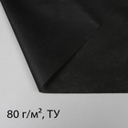 Материал для ландшафтных работ, 43 × 1,6 м, плотность 80 г/м², с УФ-стабилизатором, чёрный - Фото 1