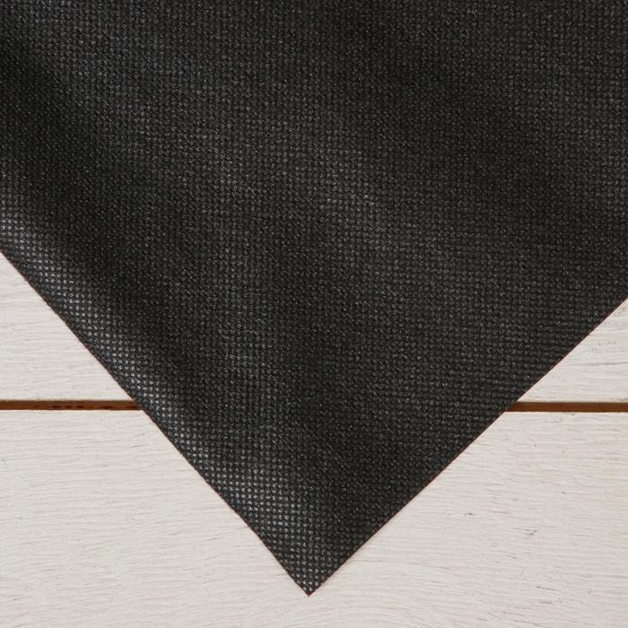 Материал для ландшафтных работ, 12 × 1,6 м, плотность 150 г/м², с УФ-стабилизатором, чёрный - Фото 1
