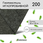 Геотекстиль иглопробивной, 10 × 1,5 м, плотность 200 г/м², с УФ-стабилизатором, чёрный, Greengo - фото 321011244