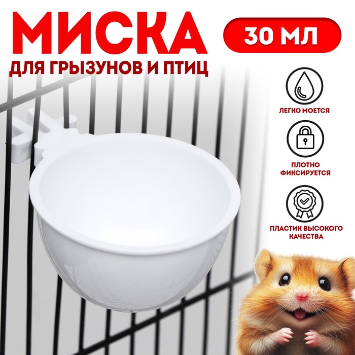 Миска для грызунов и птиц, 30 мл, пластик, белая - Фото 1