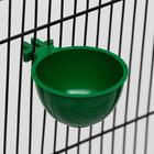 Миска для грызунов и птиц, 30 мл, зеленая - Фото 1