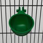 Миска для грызунов и птиц, 30 мл, зеленая - Фото 2