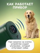 Отпугиватель собак Luazon LRI-02, ультразвуковой, до 10 метров, от батареек, зелёный - Фото 3