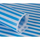 Бумага силиконизированная «Полоски», голубые, для выпечки, 0,38 х 5 м - фото 4609130