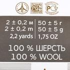 Шерсть для валяния 100% полутонкая шерсть 50гр (13-Темно-оливковый) - Фото 4