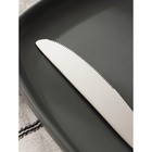 Нож столовый из нержавеющей стали Magistro «Эми», длина 22,6 см, цвет серебряный - фото 4324967