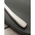 Нож столовый из нержавеющей стали Magistro «Эми», длина 22,6 см, цвет серебряный - фото 4324968