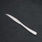 Нож для стейка из нержавеющей стали Magistro «Эми», длина 23 см, цвет серебряный - фото 4324971