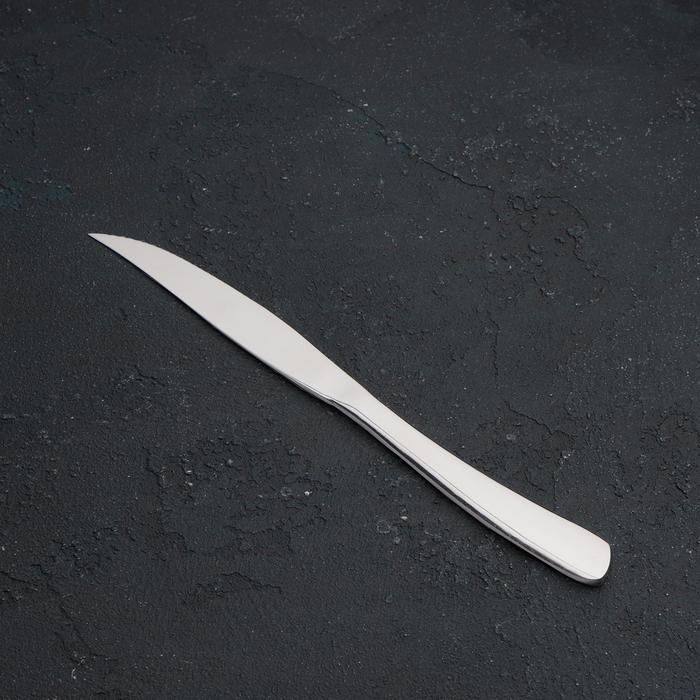 Нож для стейка из нержавеющей стали Magistro «Эми», длина 23 см, цвет серебряный - фото 1907232925