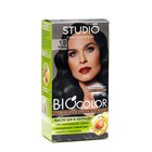 Стойкая крем краска для волос Studio Professional 1.0 Черный, 50/50/15 мл - фото 6418062