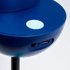 Лампа настольная сенсорная 16483/1 LED 5 Вт USB АКБ МИКС 9×16×31.5 см RISALUX - Фото 7