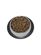 Сухой корм ALL DOGS для собак, говядина и овощи, 20 кг - Фото 6