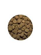 Сухой корм ALL DOGS для собак, говядина и овощи, 13 кг - Фото 5