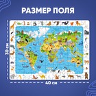 Пазлы «Найди и покажи: Животные нашей планеты», с лупой, 88 деталей - Фото 2