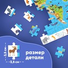 Пазлы «Найди и покажи: Животные нашей планеты», с лупой, 88 деталей - Фото 4
