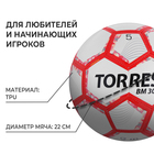 Футбольный мяч TORRES BM 300, F320745, машинная сшивка, 28 панелей, р. 5, TPU 6935919 - фото 1640920